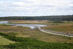 P.E.I. National Park at Greenwich includes a boardwalk over marshlands leading to dunes and a white sand beach. Marlene Bryenton/Special to The Guardian 