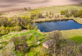 This stock photo depicts an agricultural holding pond for irrigation, which will are allowed under P.E.I.'s Water Act as long as they are built by June 16, 2021. 