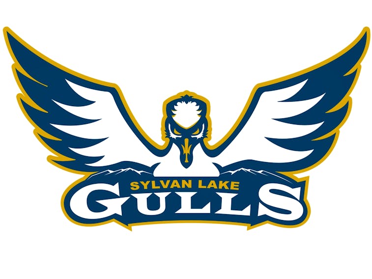 Sylvan Lake Gulls 