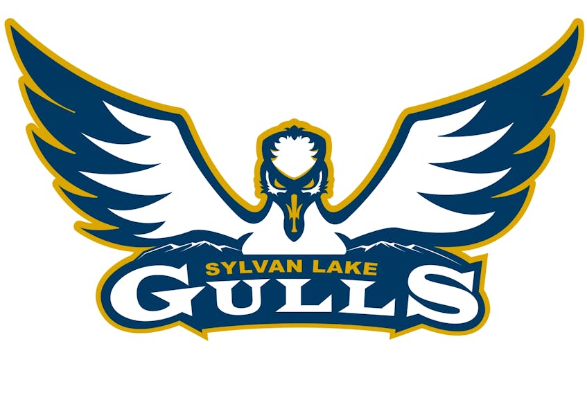 Sylvan Lake Gulls 