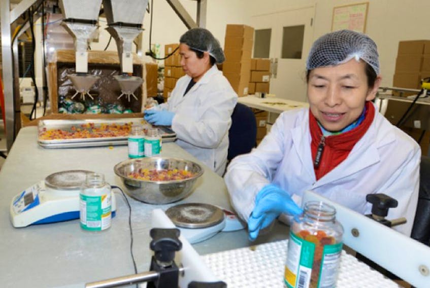 <p>Lana Liu, left, and Liam Liu bottle Honibe gummie vitamins at Charlottetown’s Island Abbey Foods Ltd.’s plant in the West Royalty Industrial Park. Thanks to the gummie vitamins, the company has doubled its staff.</p>