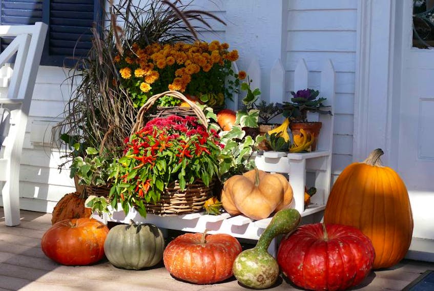 To make a gorgeous display that cascades effortlessly down the sides of your front steps, gather pumpkins and gourds in different shades (white, cream, deep russet, orange) and in various shapes (round, triangular) and sizes (mini to massive).