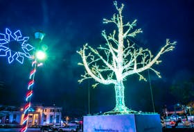 The holiday spirit isn’t lacking this year in Downtown Halifax. The new 26-foot-high tree in Peace and Friendship Park is a must-see this holiday season. - Photo Courtesy Stoo Metz.