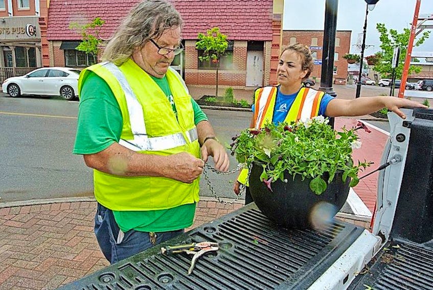 Amherst employee Buck Pettigrew and horticulturalist Chelsea Baird look over a self-watering hanging basket being installed in downtown Amherst. The town is considering switching all of its hanging flower baskets over to the self-watering variety.