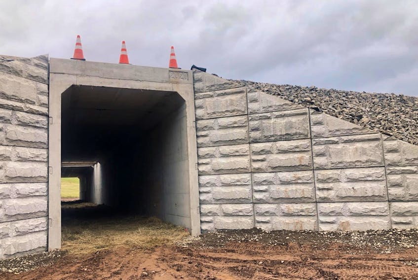 It’s hoped that a newly installed tunnel underneath Highway 101 between Falmouth and Hantsport will help prevent vehicle collisions with wildlife.