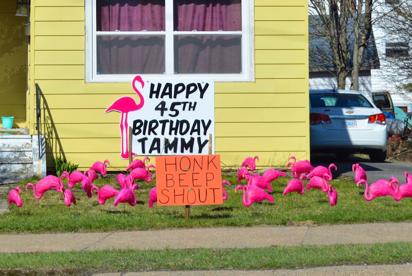 Another COVID-era birthday was acknowledged at this Whitney Pier residence where passing pedestrians and motorists were encouraged to shout and honk in honour of Tammy’s 45th birthday. The colourful flock of flamingos was only enhanced by Sunday’s sunny skies and relatively warm temperatures. Happy birthday, Tammy. Other birthday celebrations in lieu of the parties not being held due to social-distancing restrictions have included numerous “drive-by birthdays.” DAVID JALA/CAPE BRETON POST