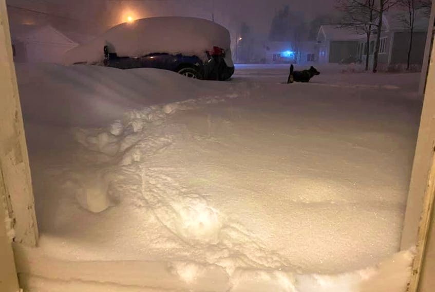 Snow accumulated quickly in Happy Valley-Goose Bay overnight on Tuesday. This photo was taken at 4:30 a.m. and the snowfall continued for about 12 hours after that. - PHOTO BY DENISE COLE
