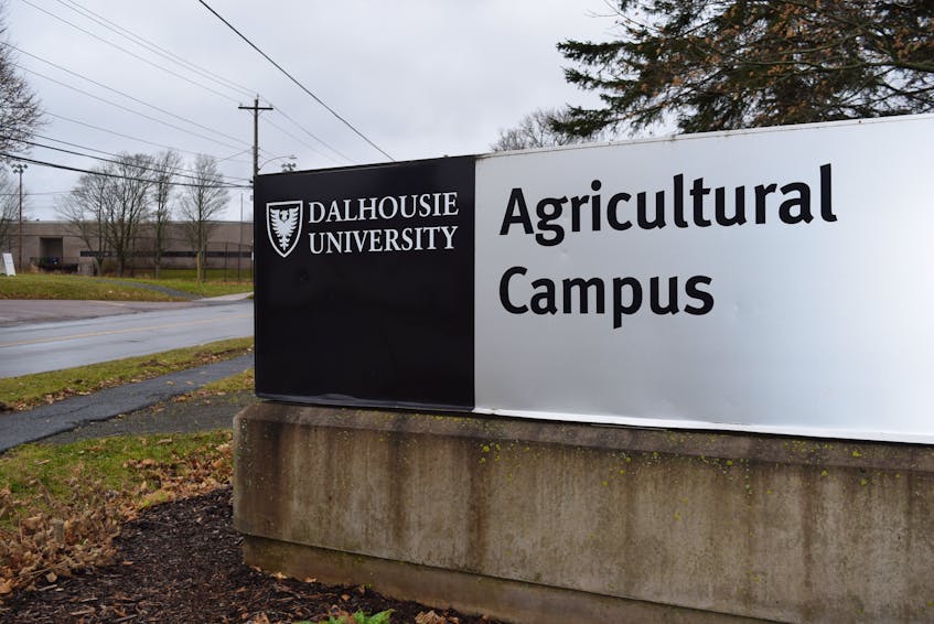 Most courses offered by Dalhousie University's Agricultural Campus in Truro were online last year. - Chelsey Gould
