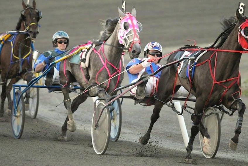 Corey MacPherson and his horse Gramercy Hanover breathe down the necks of Maxim Gaudreault and Casette Hanover in this Guardian file photo at Red Shores at the Charlottetown Driving Park. Next card of racing is Saturday.