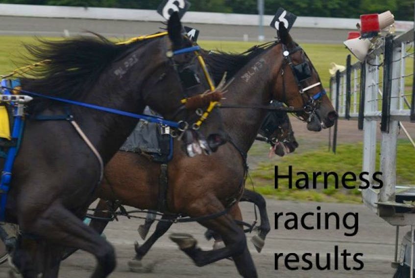 Harness racing