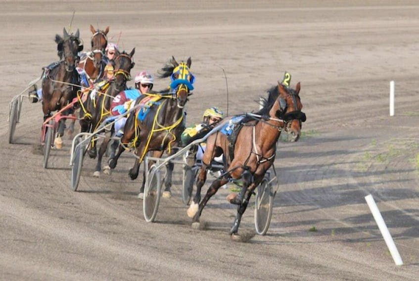 Ross Melvino, driven by Ryan Ellis, leads the field en route to winning an Atlantic Sires Stakes $2,500 B Division for two-year-old colts at Red&nbsp; Shores at Summerside Raceway on Monday night. Time of the mile was 2:05 – a maiden record.