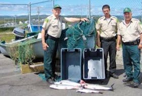 ['Department of Fisheries and Oceans officers, from left, Archie MacIsaac, Darren MacDonald and Joe Brake show illegally caught Atlantic salmon and poaching gear confiscated recently in the coastal waters off Rose Blanche. ']
