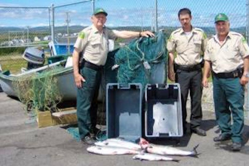 ['Department of Fisheries and Oceans officers, from left, Archie MacIsaac, Darren MacDonald and Joe Brake show illegally caught Atlantic salmon and poaching gear confiscated recently in the coastal waters off Rose Blanche. ']