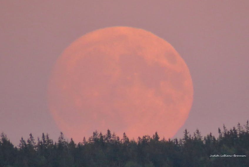 Judy Leblanc-Brennan snapped a photo of this "almost full" Harvest Moon as it came up over Sydney Harbour NS. The pink sky gave the moon an eerie softness.