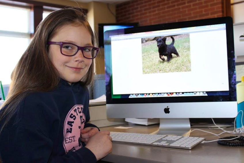 <p>Haven Woodside looks at a picture of one of the puppies born at the RCMP Police Dog Service Training Centre. Her name was selected for one of this year’s 13 puppies.</p>