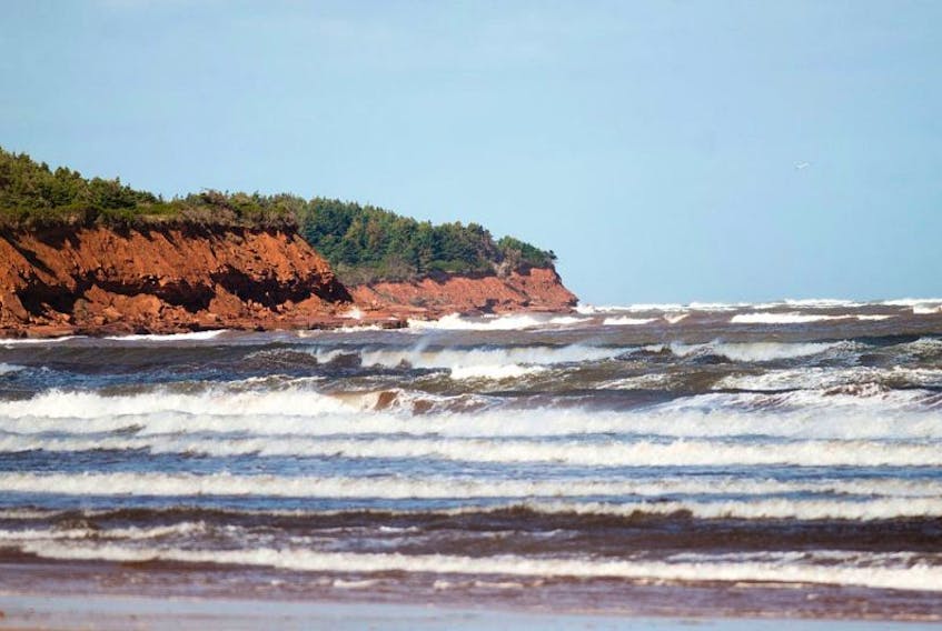 Surf conditions were rough along the Island's north shore due to strong winds.