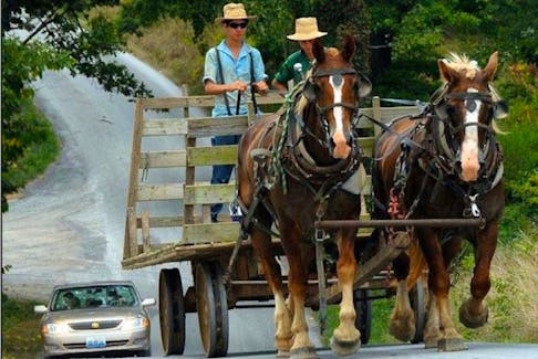 Amish farmers will soon have hitching posts for their horses in the town of Cardigan. The village council approved the move this week