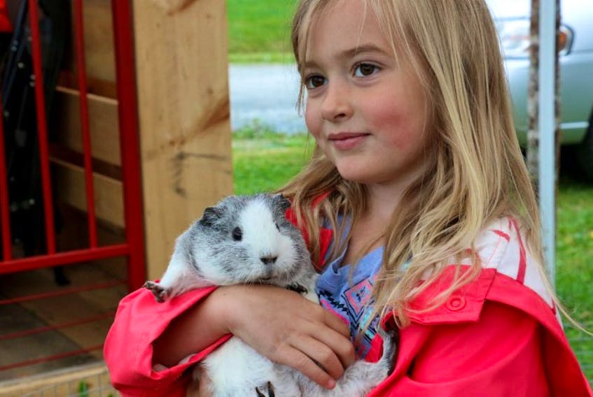 Julia Hughes cuddles with Joanee, an American grey and white guinea pig, while visiting the Dragonfly Haven Therapeutic Farm.