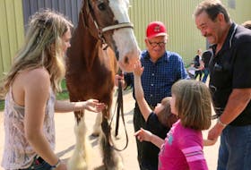 Children and adults gravitated to this Clydesdale within a minute of Leon Taylor and his daughter, Emma-Lee Taylor, bringing Jake outside. The long-time blacksmith loves to spend time with his horses, and telling people about them.