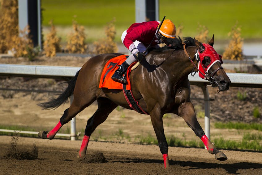 Rico Walcott rides Chaska to a first-place finish in the first race on opening day of the season for Century Mile Racetrack on Sunday, June 21, 2020. No fans were allowed in the facility, just jockeys, horses and trainers.