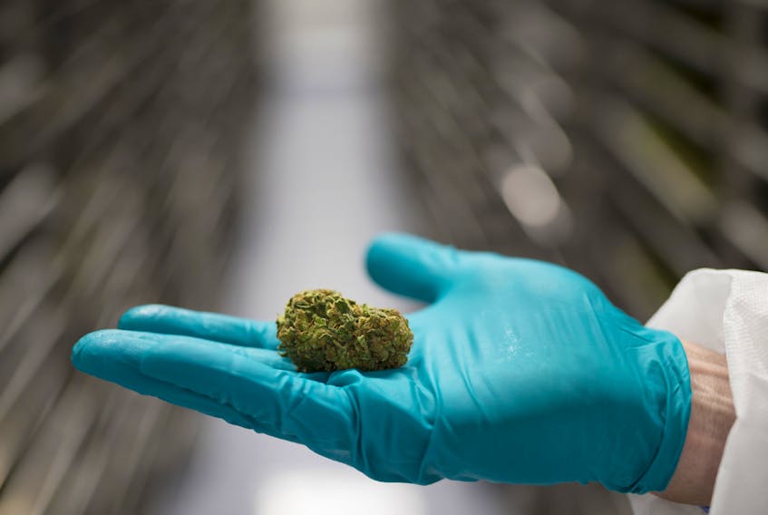 Canadian cannabis company CannTrust Holdings Inc said Tuesday that it had been granted creditor protection under CCAA.
