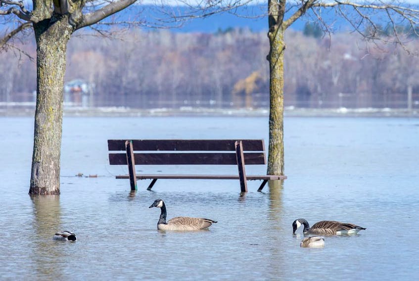 The low lying areas around Ottawa and Gatineau were hit with the beginning of the flooding near the rivers, Sunday, April 21, 2019.   Ashley Fraser/Postmedia