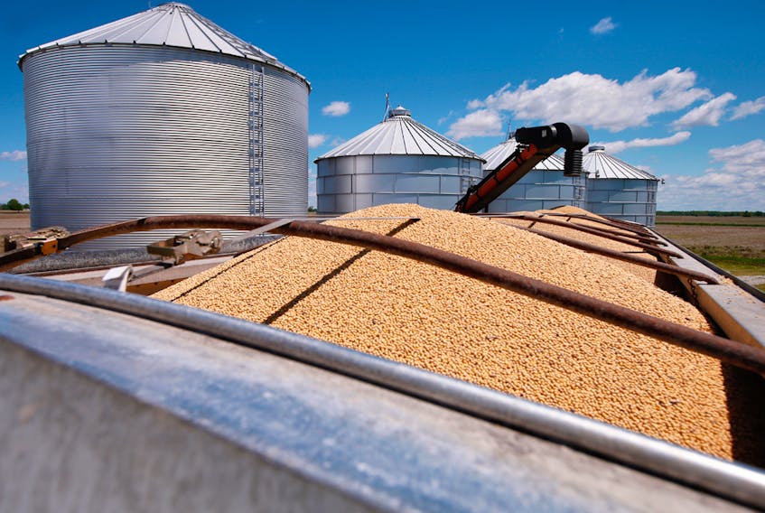 "The problem is U.S. beans are replacing Canadian beans in our own market."