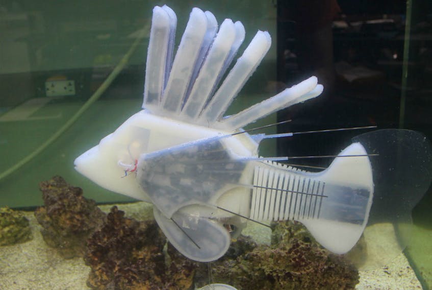 Pictured is an aquatic soft robot, inspired by a lionfish and designed by co-author James Pikul, former postdoctoral researcher in the lab of Rob Shepherd, associate professor of mechanical and aerospace engineering.