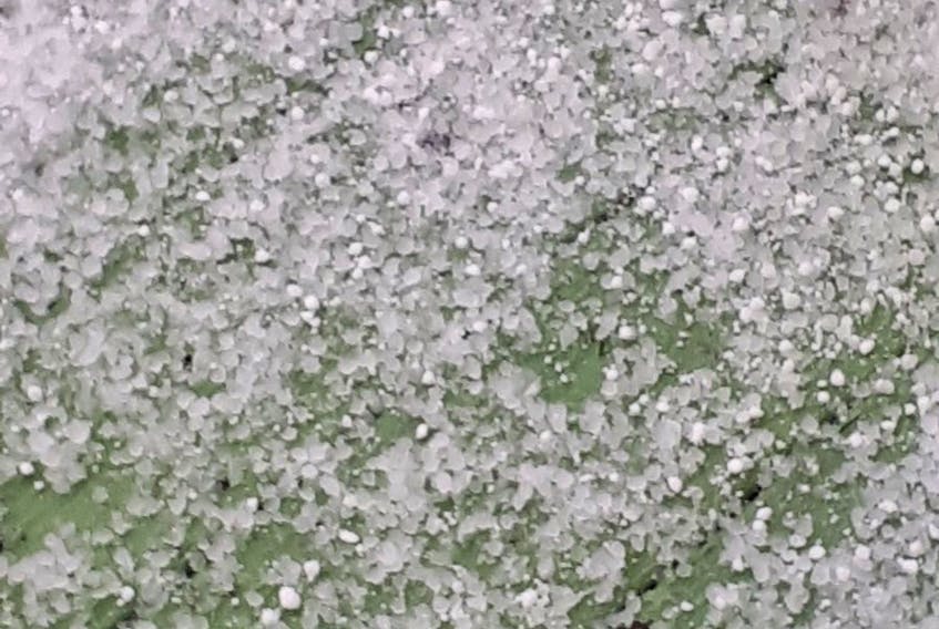 Ice pellets are small, translucent balls of ice. They are smaller than hailstones, which fall from thunderstorms rather than during the winter or early spring.