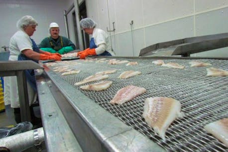 Open sea cod fishery in 3Ps means winter work for Icewater Seafoods