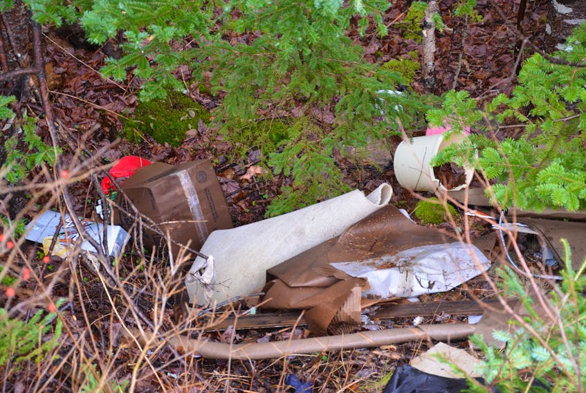 Garbage that was dumped illegally can be seen in the ditch off West Porters Lake Road, near the intersection of Bellefontaine Road, on Thursday, Dec. 31.