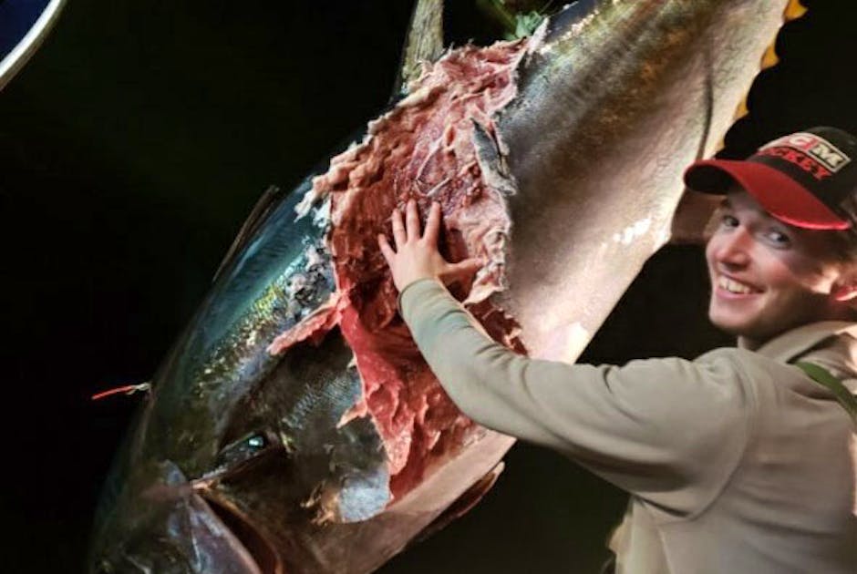 White Island Mako Shark, Kingfish Won Tons, Coke Bottle Albacore Tuna