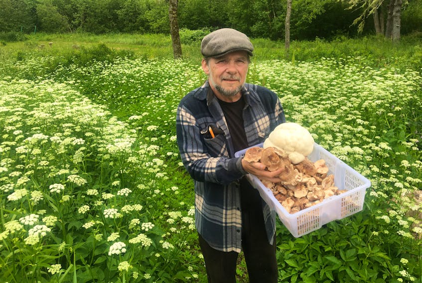 Greg Doyle in Voglers Cove with some of the lion’s mane and shiitake mushrooms he grows.