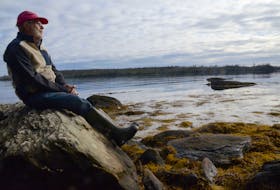Stephen Mildenberger, a member of a local committee seeking to have the Whale Sanctuary Project located in Mushaboom, looks out over the likely location in December 2019.