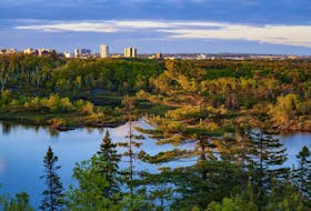 The Nature Conservancy of Canada has raised over $8 million to protect the Williams Lake area in Halifax. The Shaw Group sold a 152-hectare property to create a protected area that will be called the Shaw Wilderness Park.
