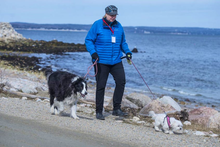 Trish MacCormack, a volunteer with ElderDog Canada, takes Maxx and Lily out for a walk in Mill Cove on Monday, March 23, 2020. - Ryan Taplin