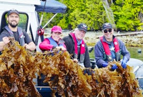 Ryan Cootes, Erin Bremner-Mitchell, Cascadia chair Bill Collins and company chief executive Mike Williamson with a harvest of sugar kelp. - Cascadia Seaweed
