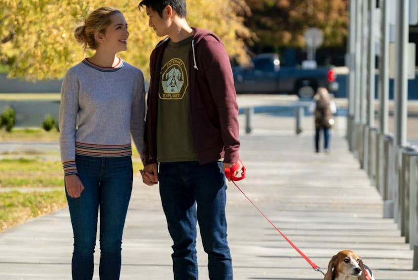 Puppy, love: Jessica Rothe and Harry Shum Jr. in All My Life.
