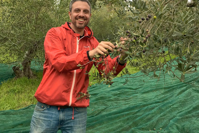 Fil Bucchino, shown during the olive harvest in Italy, brings his documentary Obsessed with Olive Oil to the Devour! Food Film Fest in Wolfville this week.