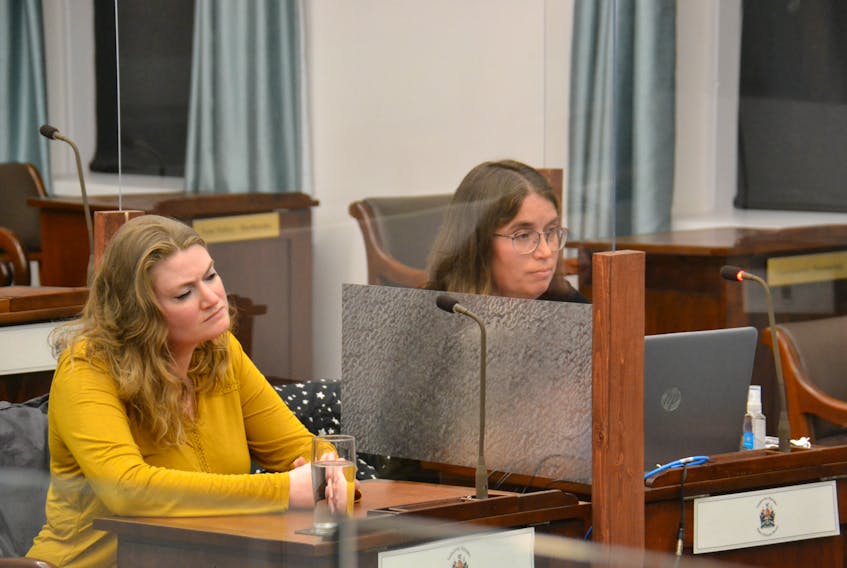 Cailin Deacon and Amanda Doherty-Kirby of the Bluefield District Advisory Council speak before a standing committee meeting on Tuesday. The group has observed improvements in student mental health.