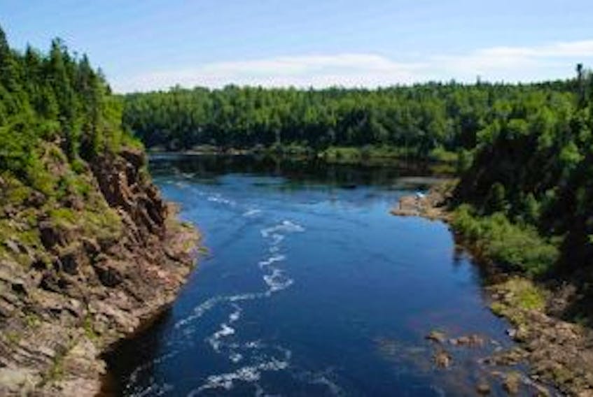 ['Vast and beautiful, the Exploits River has been a popular location for salmon anglers for decades. But this year’s abnormally high temperatures have been causing problems for the cold-water Atlantic salmon that inhabit it’s waters.']