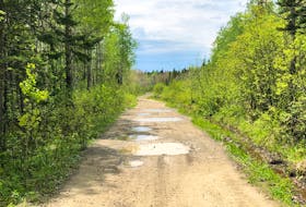 The Pipeline Trail connects the communities of New Waterford, Scotchtown and New Victoria to Killkenny Lake Road. It’s one of the most-used ATV trails in the Cape Breton Regional Municipality. JEREMY FRASER/CAPE BRETON POST