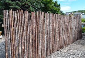 I had this fence planned long before lumber shortages and price hikes. Sometimes the old way is the best way. — Janice Wells photo