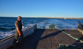 Lance Bernard watches the last of a string of traps go over the stern of the Lady Carol 1 as part of the moderate livelihood fishery. (AARON BESWICK PHOTO)