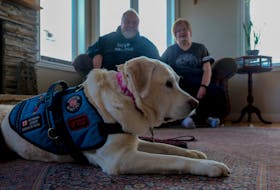 Medric and Jocelyn Cousineau and their service dog, Thai, relax in their Eastern Passage home Thursday. They are getting a meritorious service decoration from the Governor General for starting Paws Fur Thought. 

NO CREDIT 