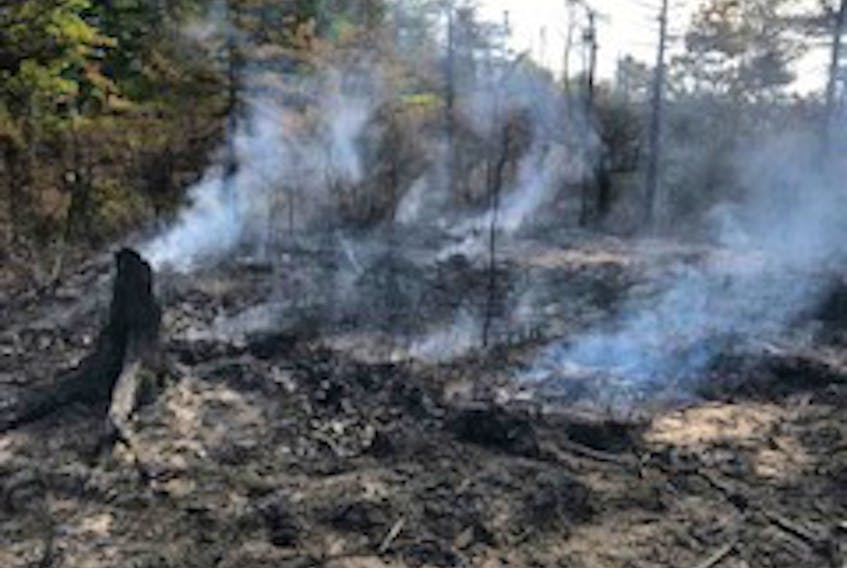 Lands and Forestry firefighters are hoping to have a remote forest fire in Jordan Bay contained today (Aug. 27). Photo compliments Lands and Forestry