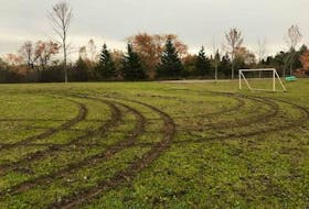 Police are investigating after the soccer field at Three Mile Plains District School was damaged by joyriders.
