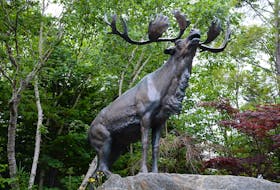 The caribou statue at the Royal Newfoundland Regiment monument at Bowring Park in St. John’s. KEITH GOSSE/THE TELEGRAM