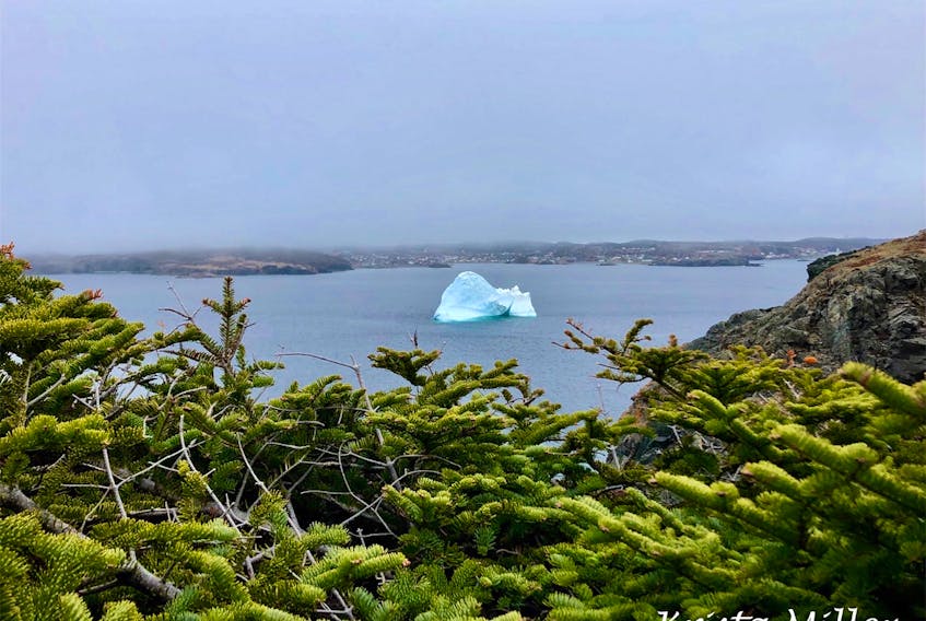 On a recent trip to Twillingate Newfoundland, Krista Miller saw quite a few magnificent icebergs and as many curious tourists! They came from France, Finland, Switzerland and Ottawa to check out the icebergs. She said it was nice to chat with the visitors as they made their way around the hiking trails.