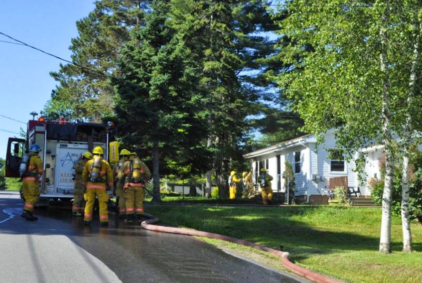 Two dogs were rushed to a vet clinic after they were rescued from a house fire in New Minas July 5.